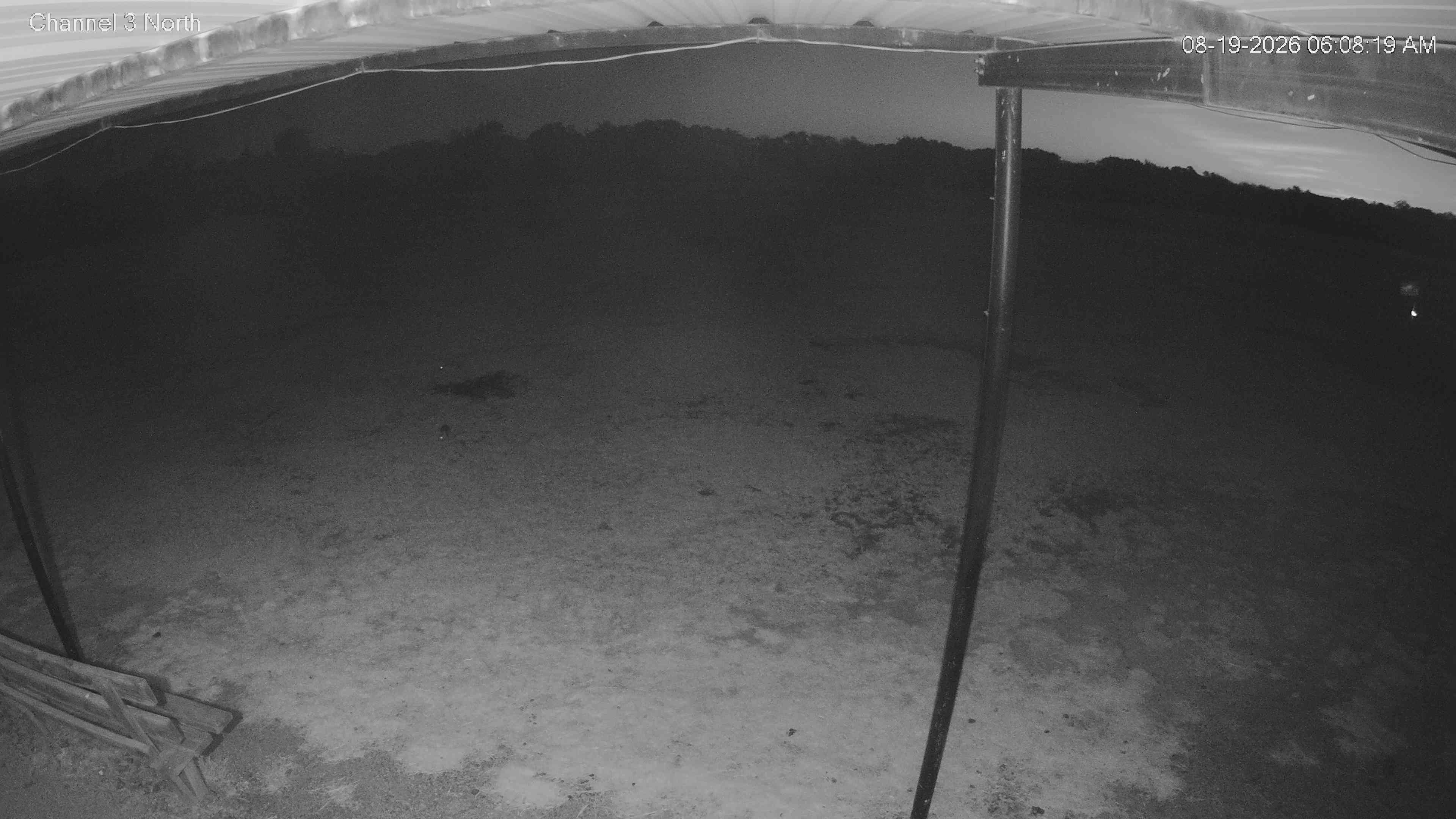 camera image